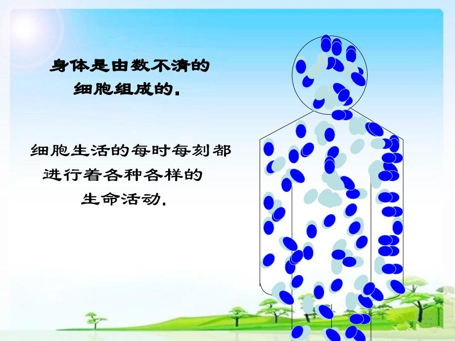 人教版七年级生物上2.1.4细胞的生活教学课件 (共35张PPT)_第3页