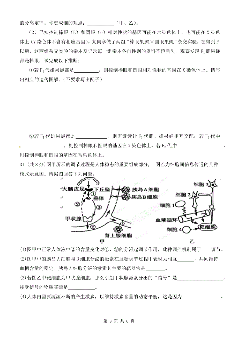 宁夏银川一中2012届高三第一次模拟考试理科综合生物试题.doc_第3页