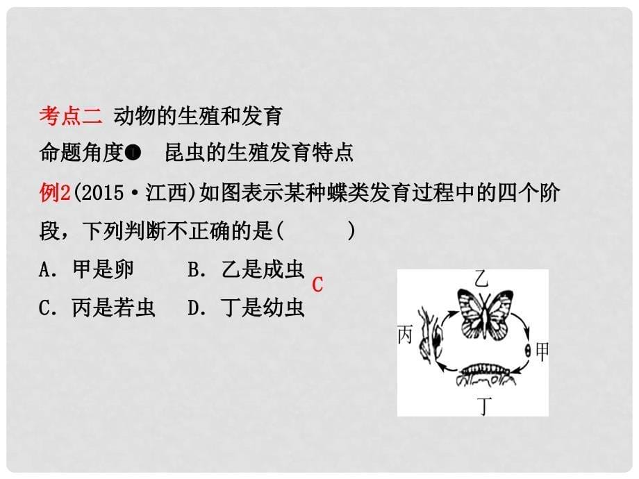 中考生物 第七单元 生物圈中生命的延续和发展 第一章 生物的生殖和发育复习课件_第5页