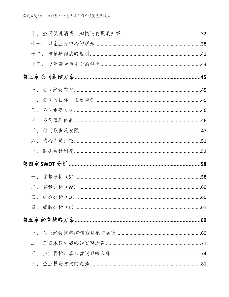 遂宁市传统产业改造提升项目投资决策报告【范文模板】_第3页