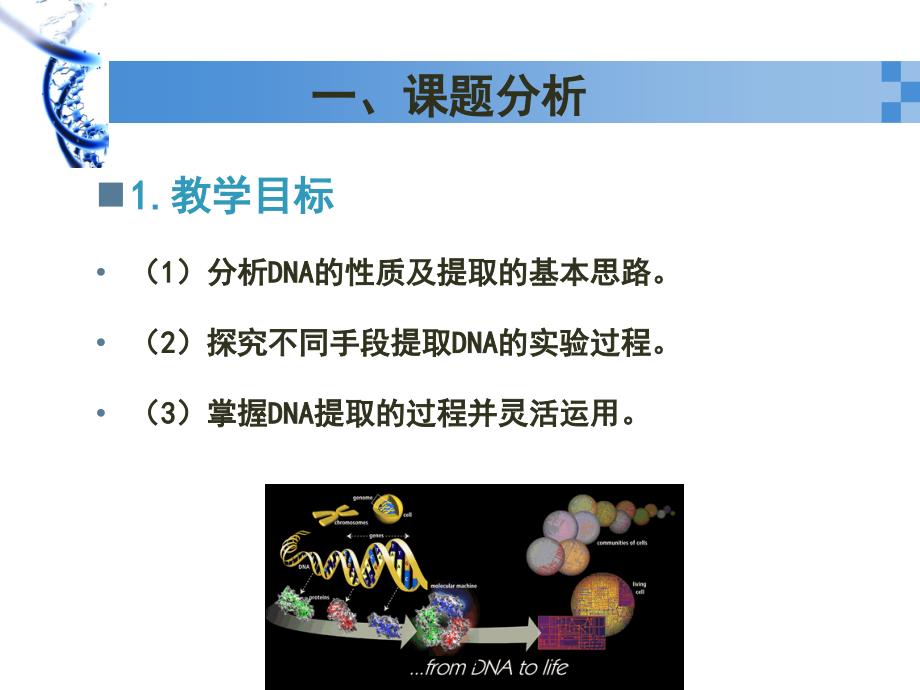 DNA粗提取与鉴定实验课堂PPT_第3页