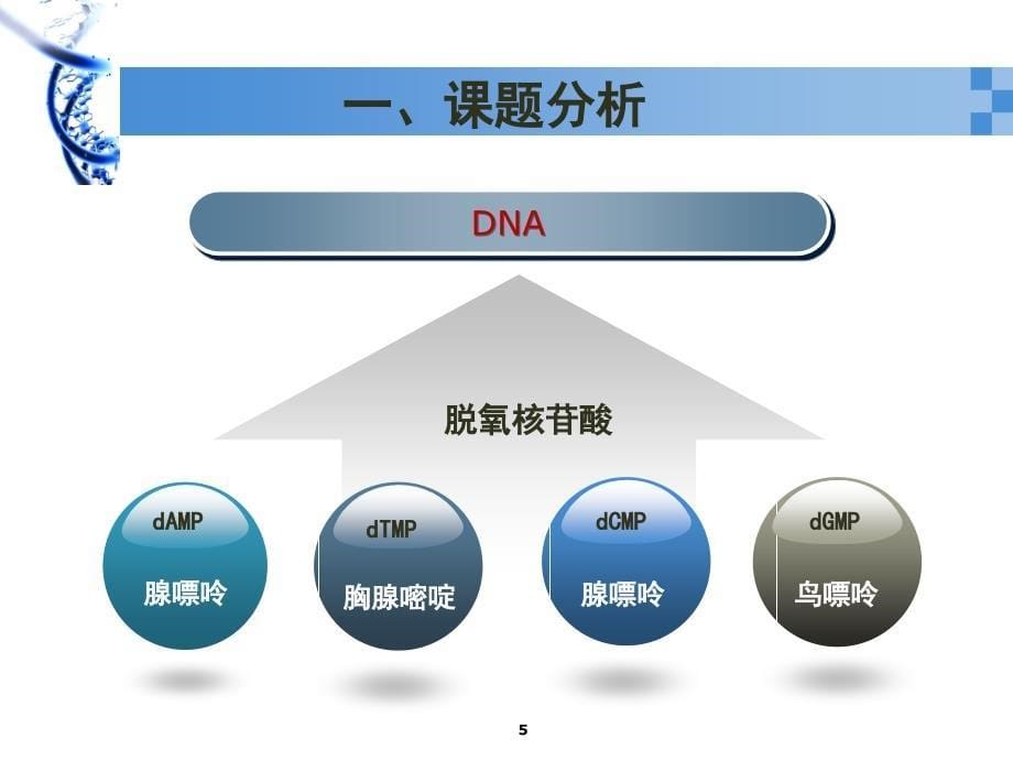 DNA粗提取与鉴定实验课堂PPT_第5页