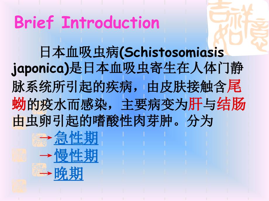 九章传染病病人的护理八节蠕虫感染_第3页