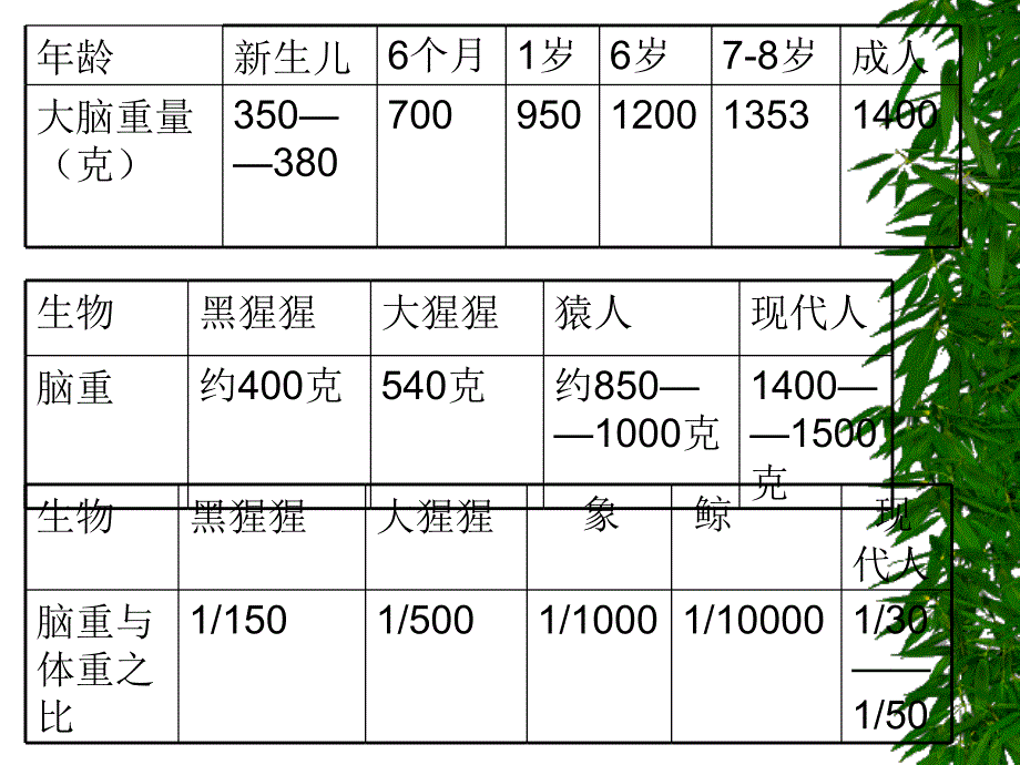 第二章幼儿的生长发育及健康评价_第4页