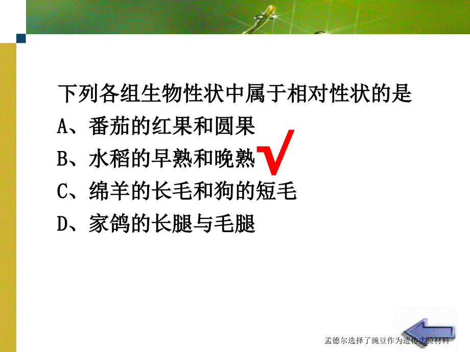 孟德尔选择了豌豆作为遗传实验材料课件_第4页