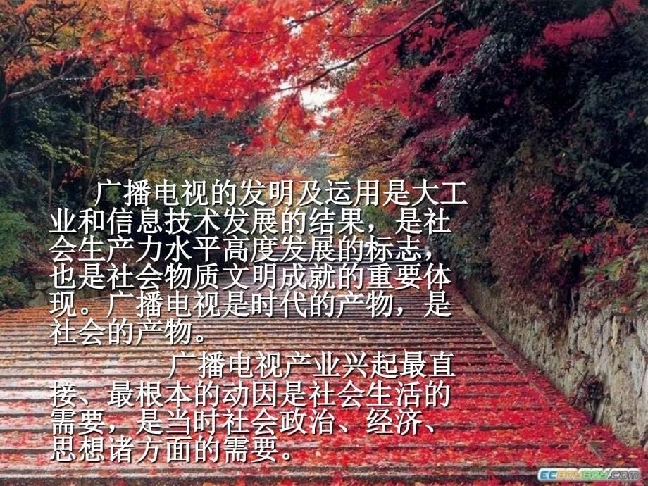 广播影视发史_第5页