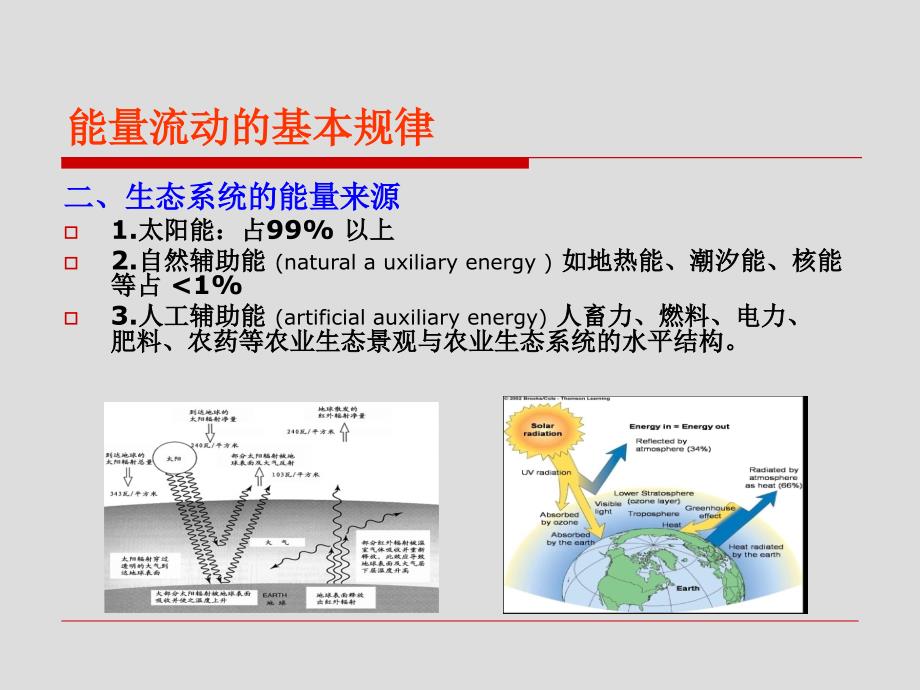 《生态系统的能量流》PPT课件_第3页