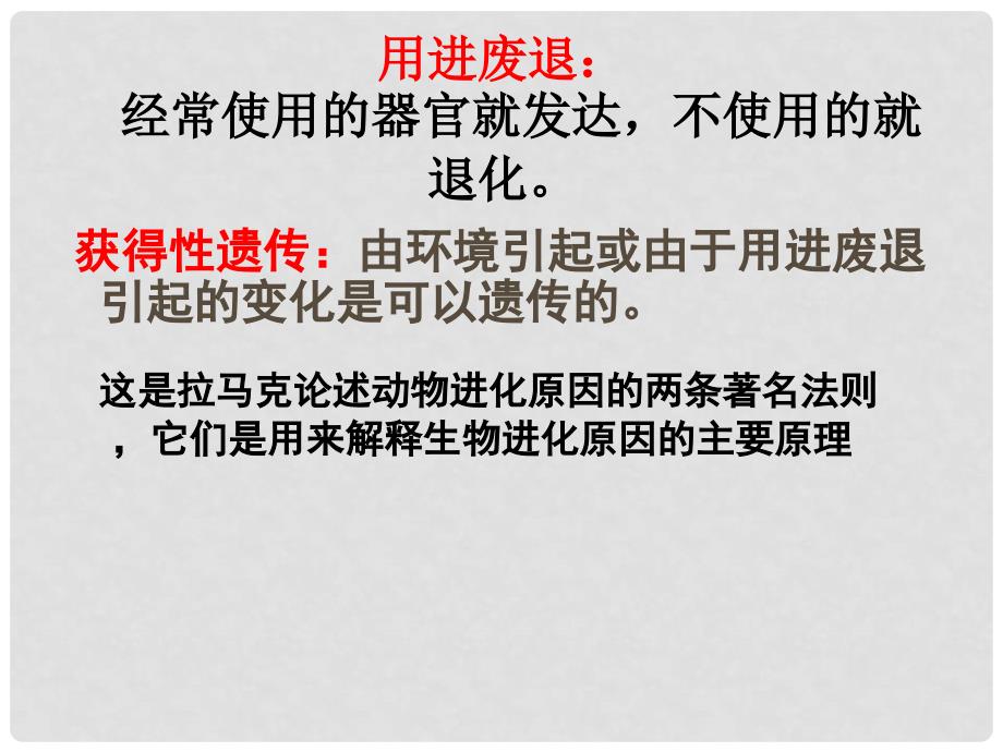 海南省华侨中学三亚学校高中生物 7.1 现代生物进化论理论的由来课件 新人教版必修2_第3页