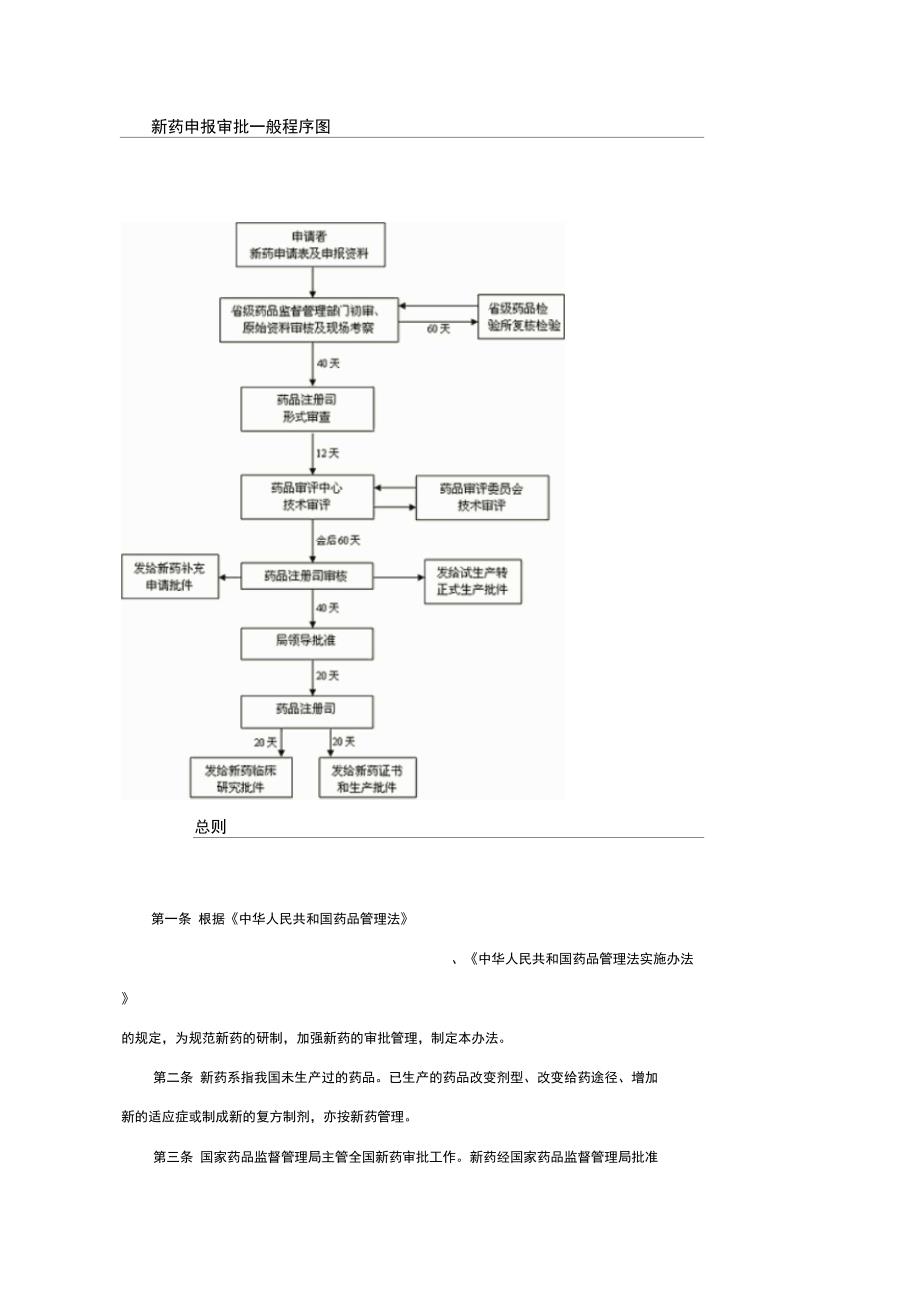 新药申报审批之总结材料版_第1页