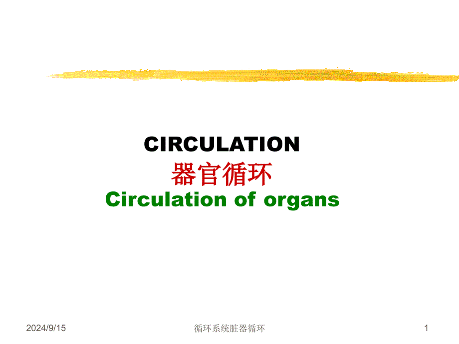 循环系统脏器循环课件_第1页