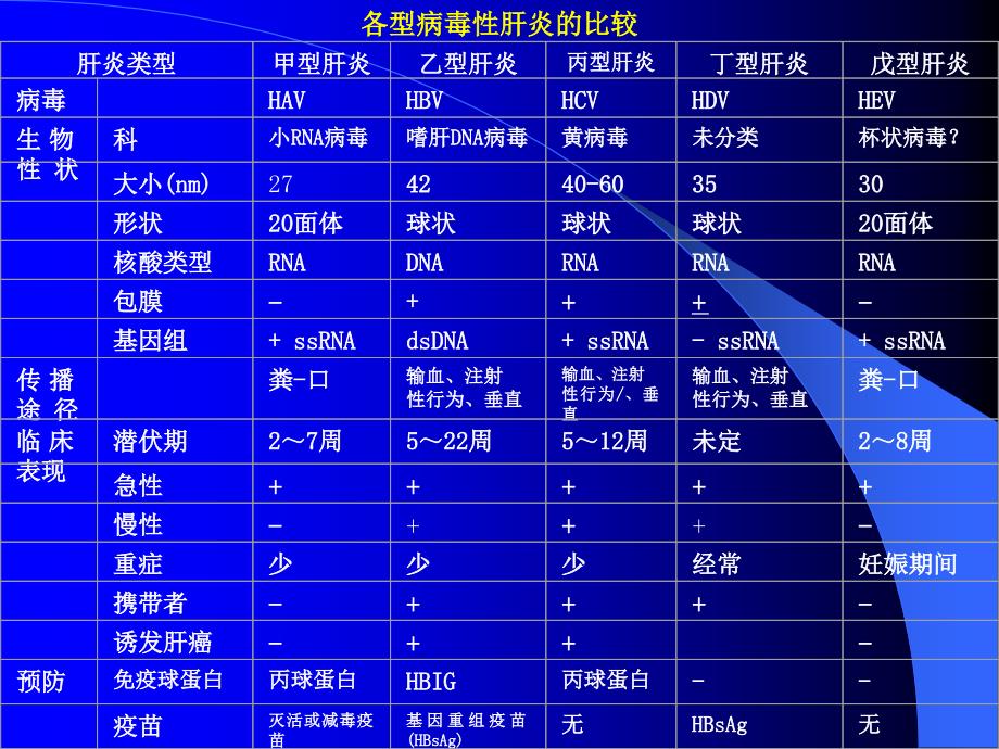 肝炎病毒ppt课件_第3页