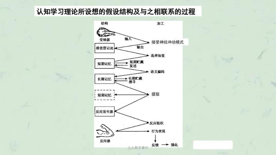 九大教学事件课件_第5页