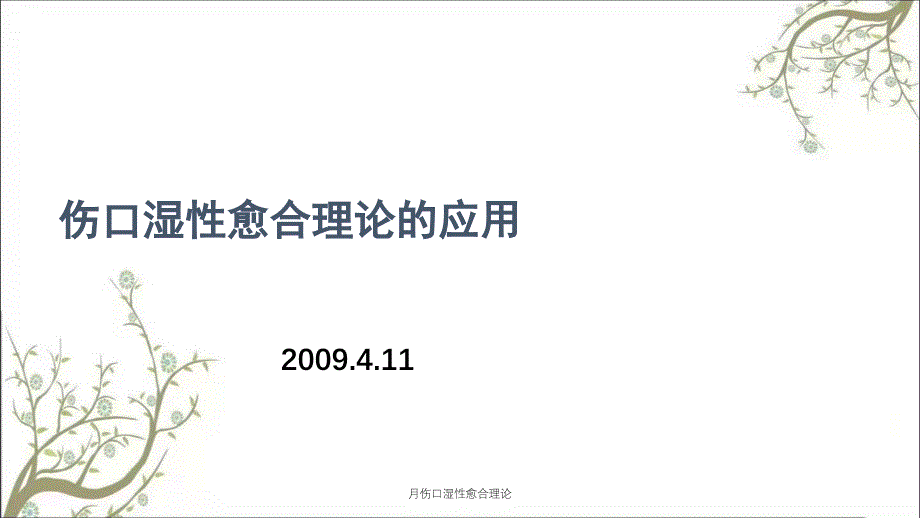 月伤口湿性愈合理论课件_第1页