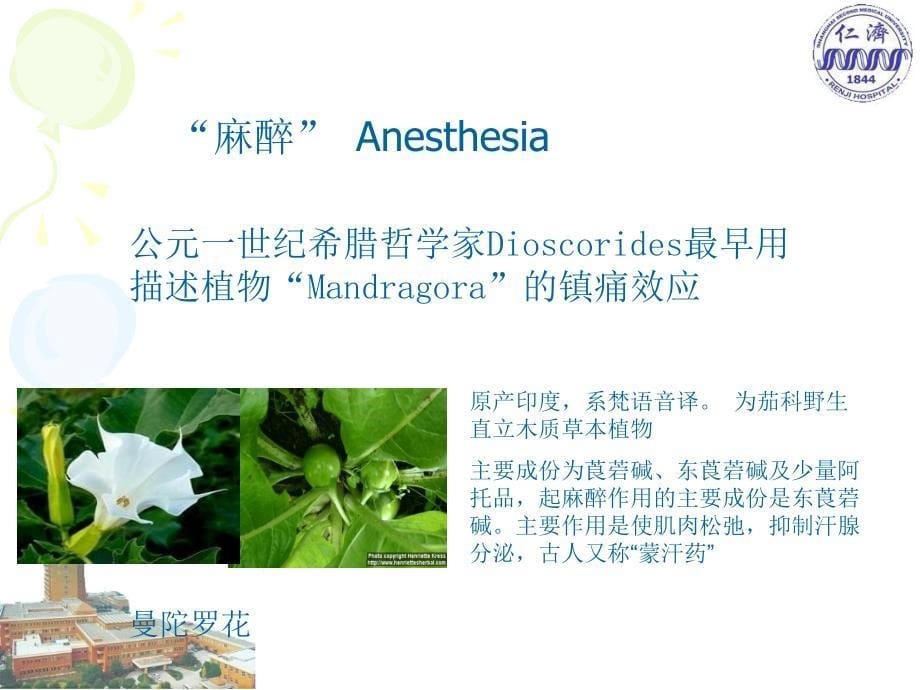 吸入麻醉药的应用及管理.ppt_第5页