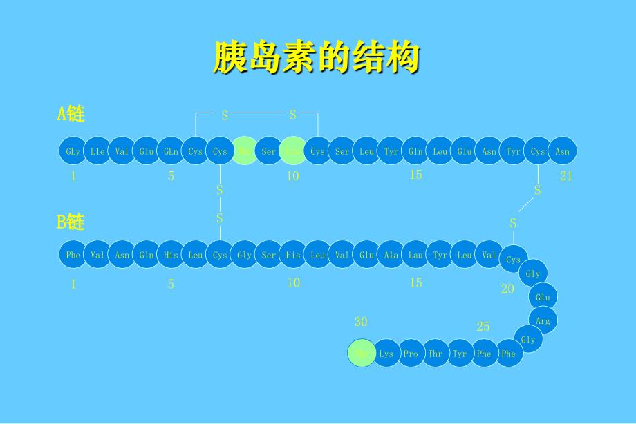 糖尿病患者的胰岛素治疗培训课件_第4页