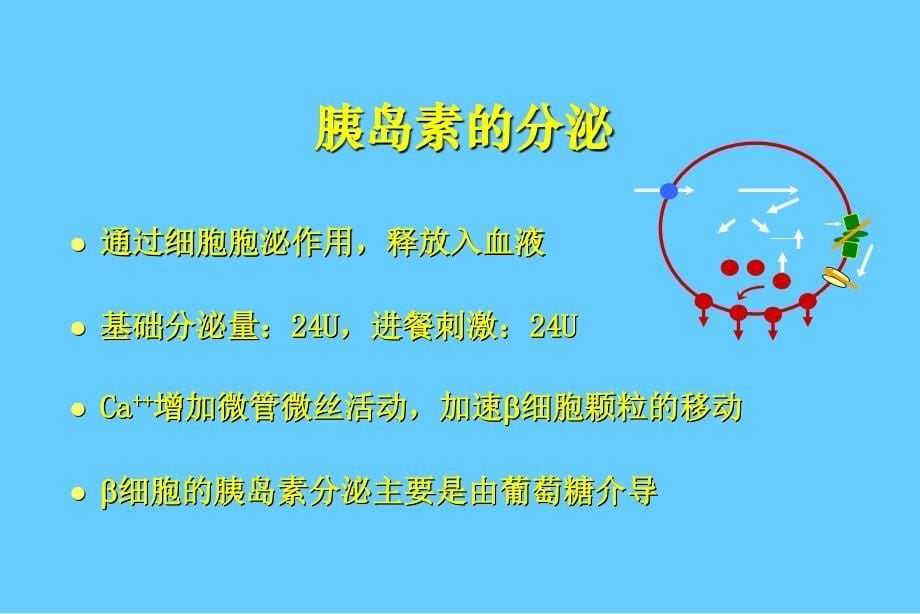 糖尿病患者的胰岛素治疗培训课件_第5页