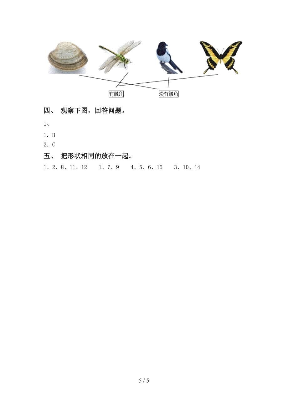 教科版小学一年级科学上册期中试卷及答案【真题】.doc_第5页