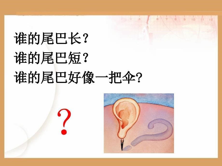 杨杰会——比尾巴ppt课件_第5页