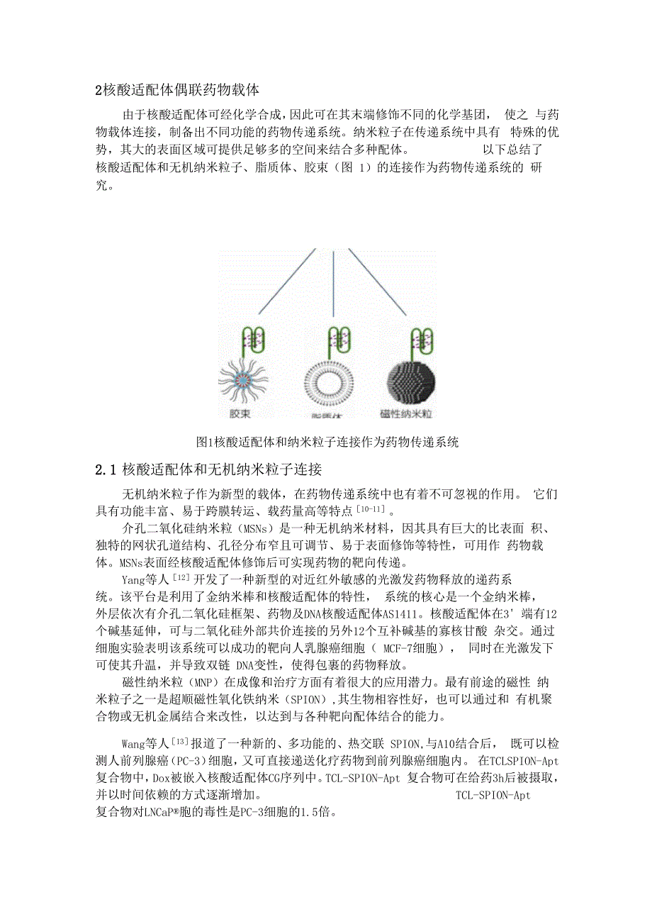 核酸适配体用于肿瘤靶向治疗的研究进展汇总_第3页