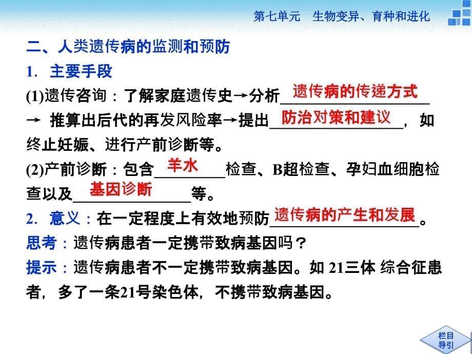 高三生物一轮复习人类遗传病PPT优秀课件_第5页