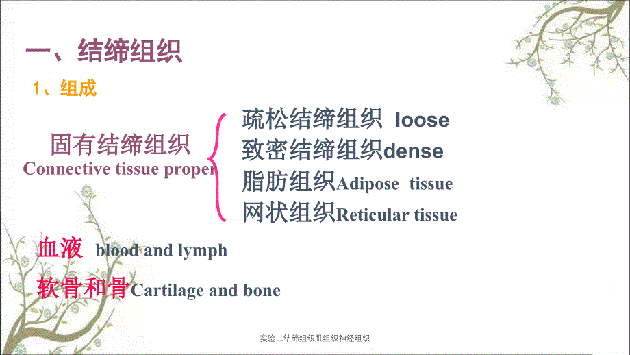 实验二结缔组织肌组织神经组织_第3页