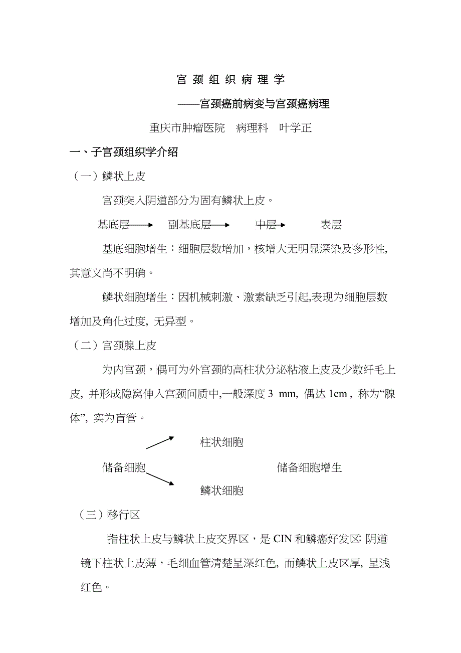 宫颈组织病理学_第1页