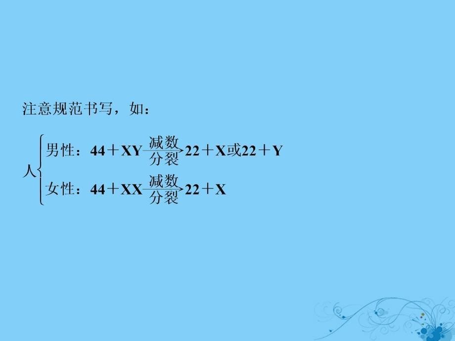 高考生物一轮复习第五单元遗传的基本规律第三讲性别决定与伴性遗传课件苏教版06254135_第5页