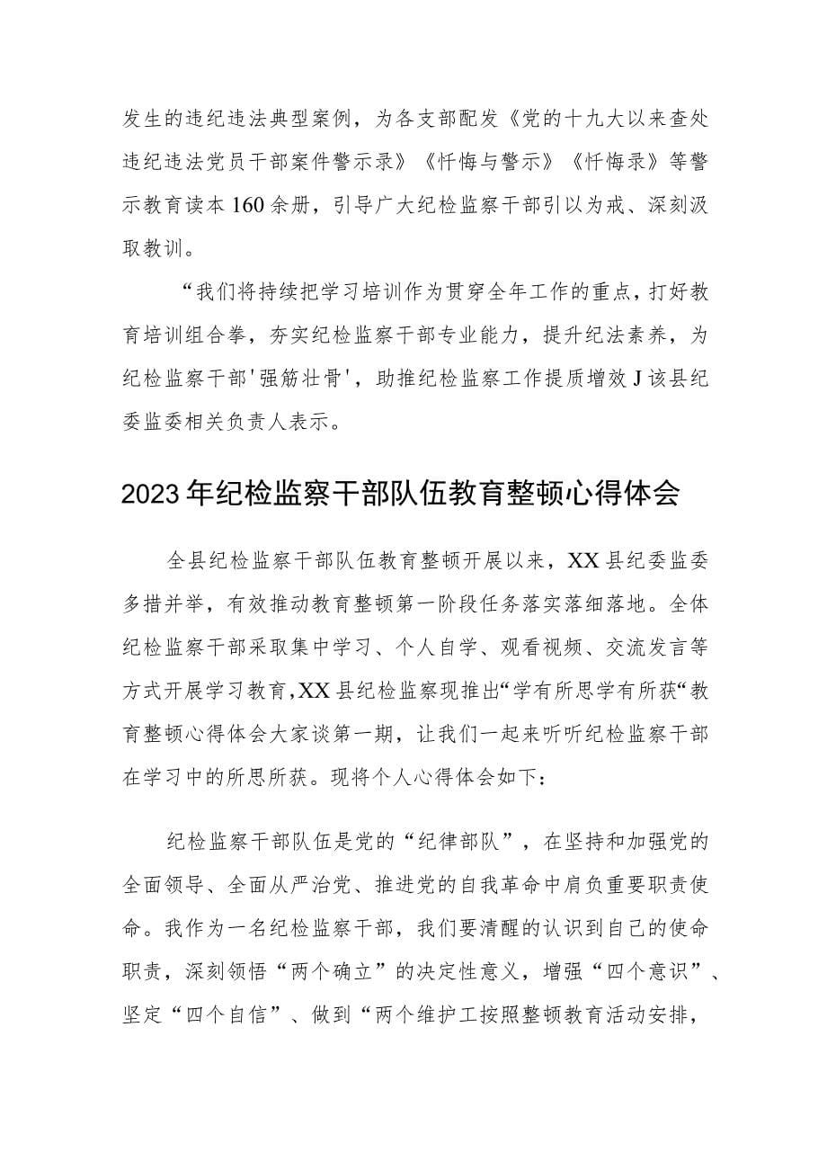 纪检监察干部队伍教育整顿心得体会(三篇)最新_第5页