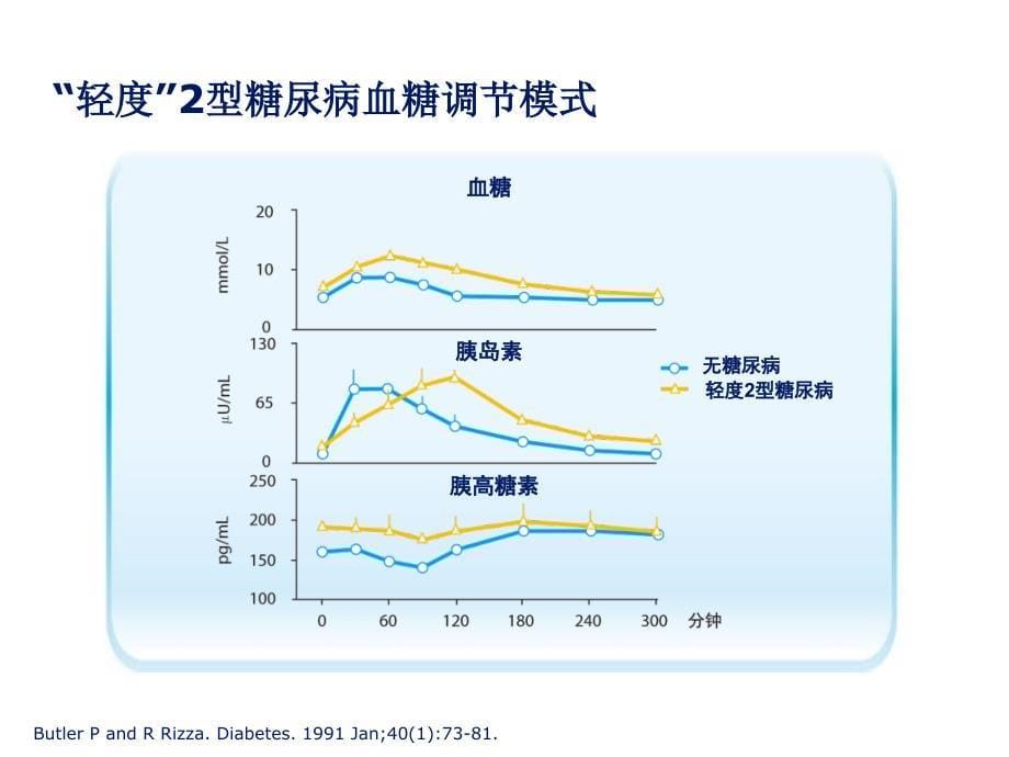 2型糖尿病治疗关注肝脏以及胰岛素相关热点PPT文档_第5页