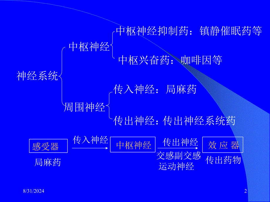 第5章传出神经系统概论_第2页