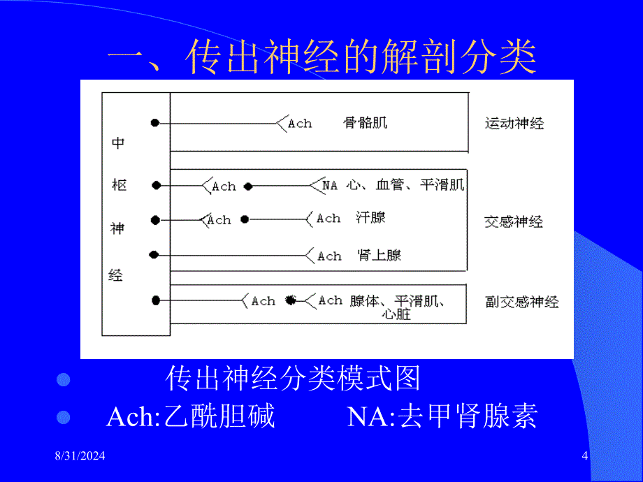 第5章传出神经系统概论_第4页