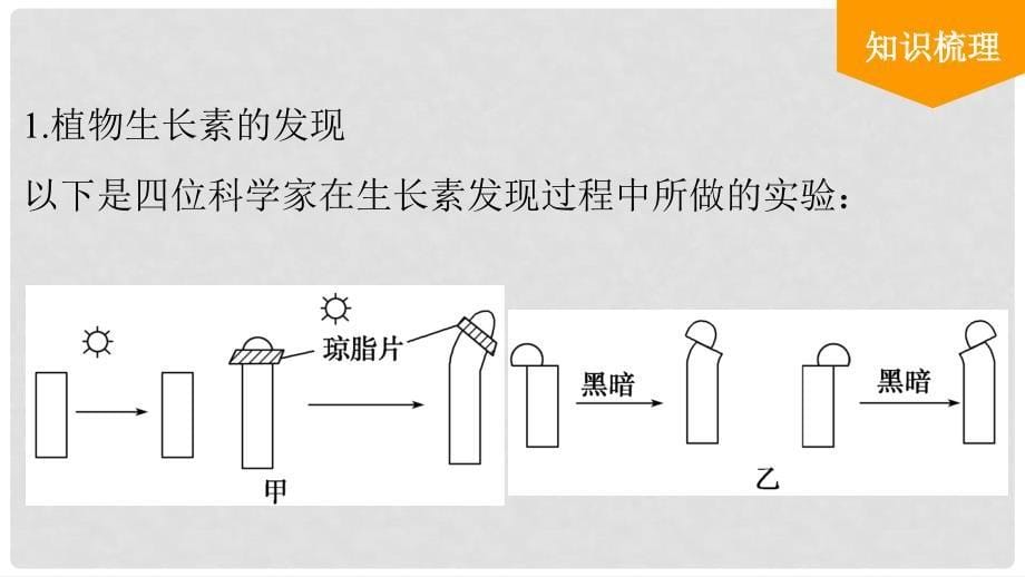 高考生物大一轮复习 第31讲 植物的激素调节课件_第5页