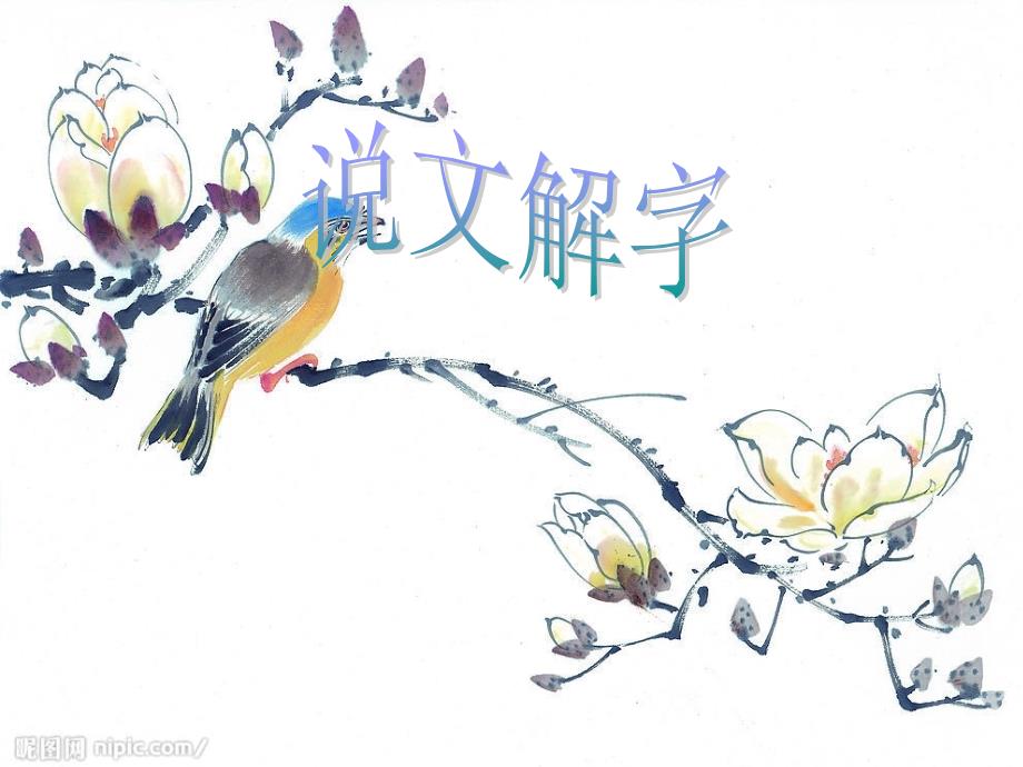 甲骨文说文解字_第1页