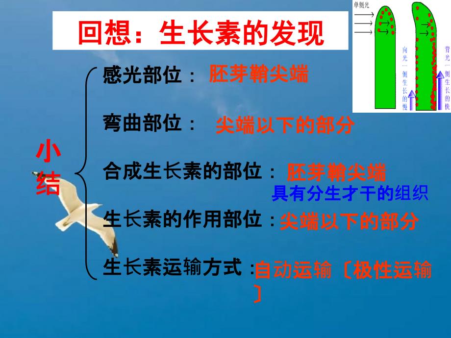 必修第三章第二节生长素的生理作用ppt课件_第3页