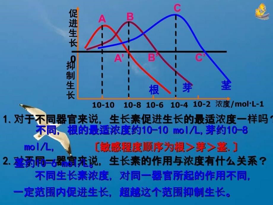 必修第三章第二节生长素的生理作用ppt课件_第5页