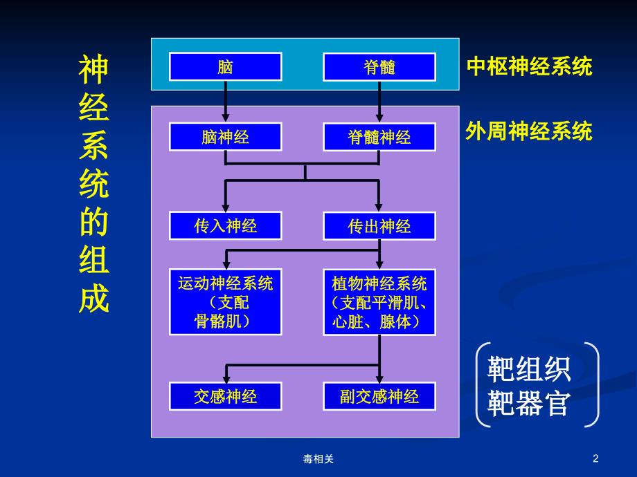 药物对神经系统的毒性【中毒相关】_第2页