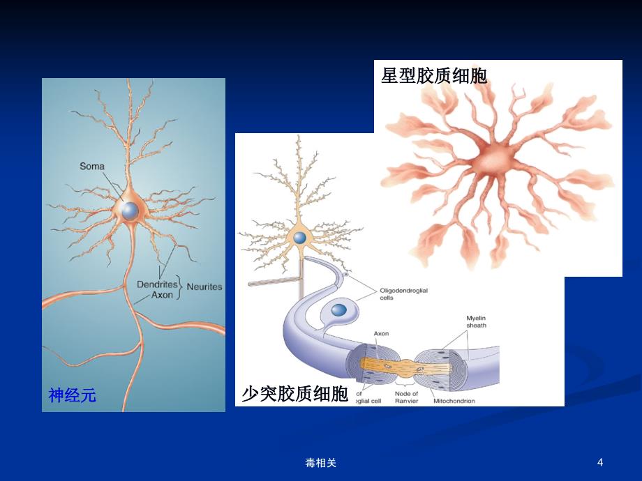 药物对神经系统的毒性【中毒相关】_第4页