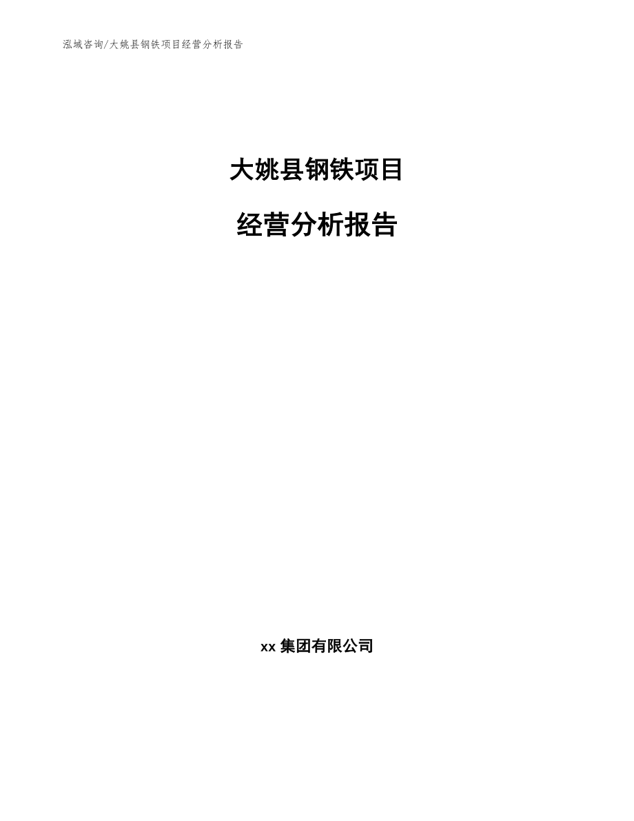 大姚县钢铁项目经营分析报告_第1页