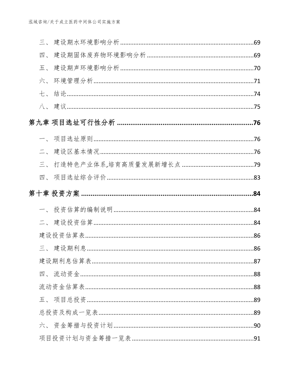 关于成立医药中间体公司实施方案（范文参考）_第4页