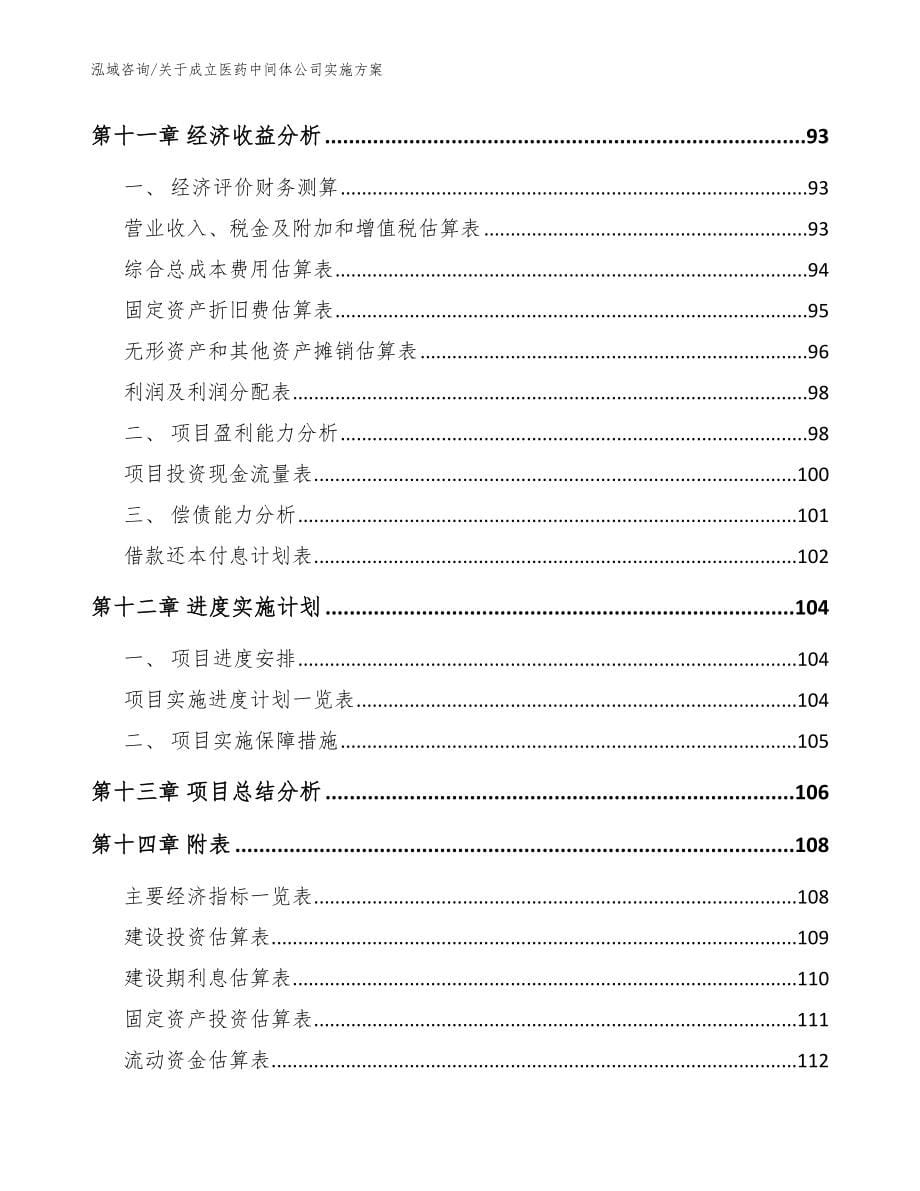 关于成立医药中间体公司实施方案（范文参考）_第5页