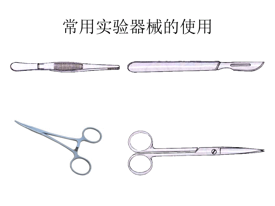 局部解剖学课件：1胸壁_第1页