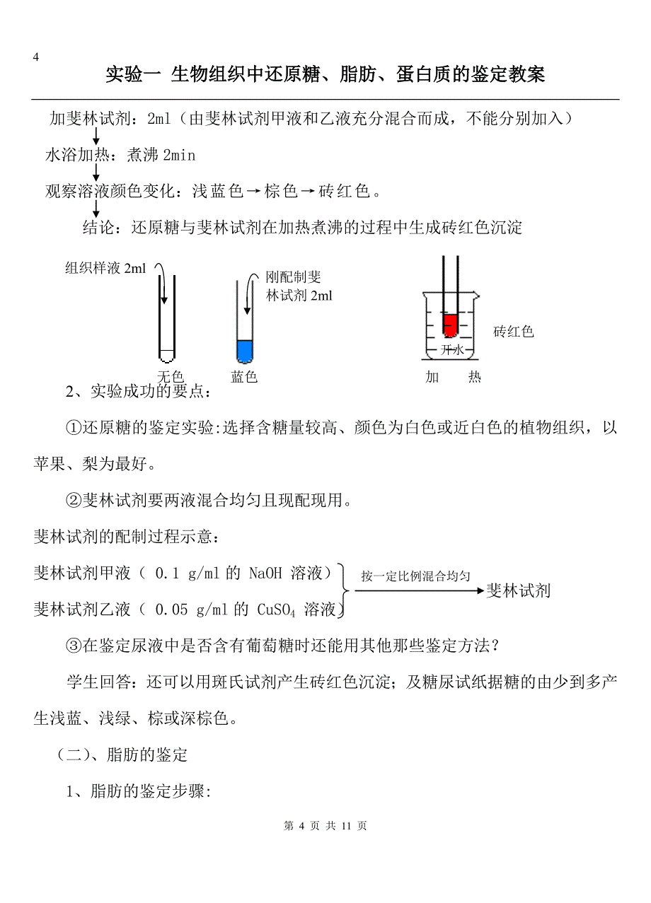 还原糖、脂肪、蛋白质的鉴定教案(word版)人教版.doc_第4页