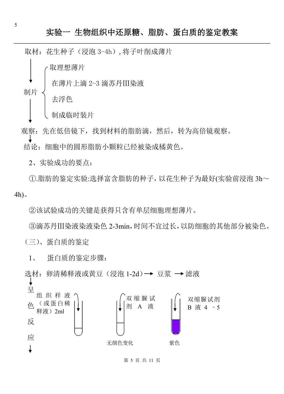 还原糖、脂肪、蛋白质的鉴定教案(word版)人教版.doc_第5页