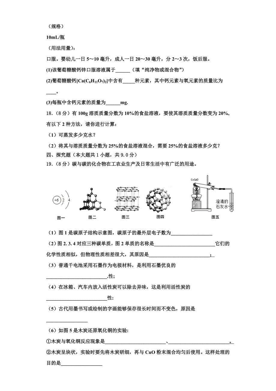 2022-2023学年江苏省泰兴市济川中学化学九上期中复习检测模拟试题含解析.doc_第5页