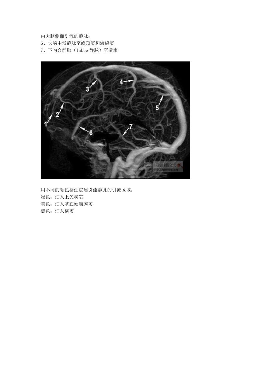 大脑的静脉系统MRV_第2页