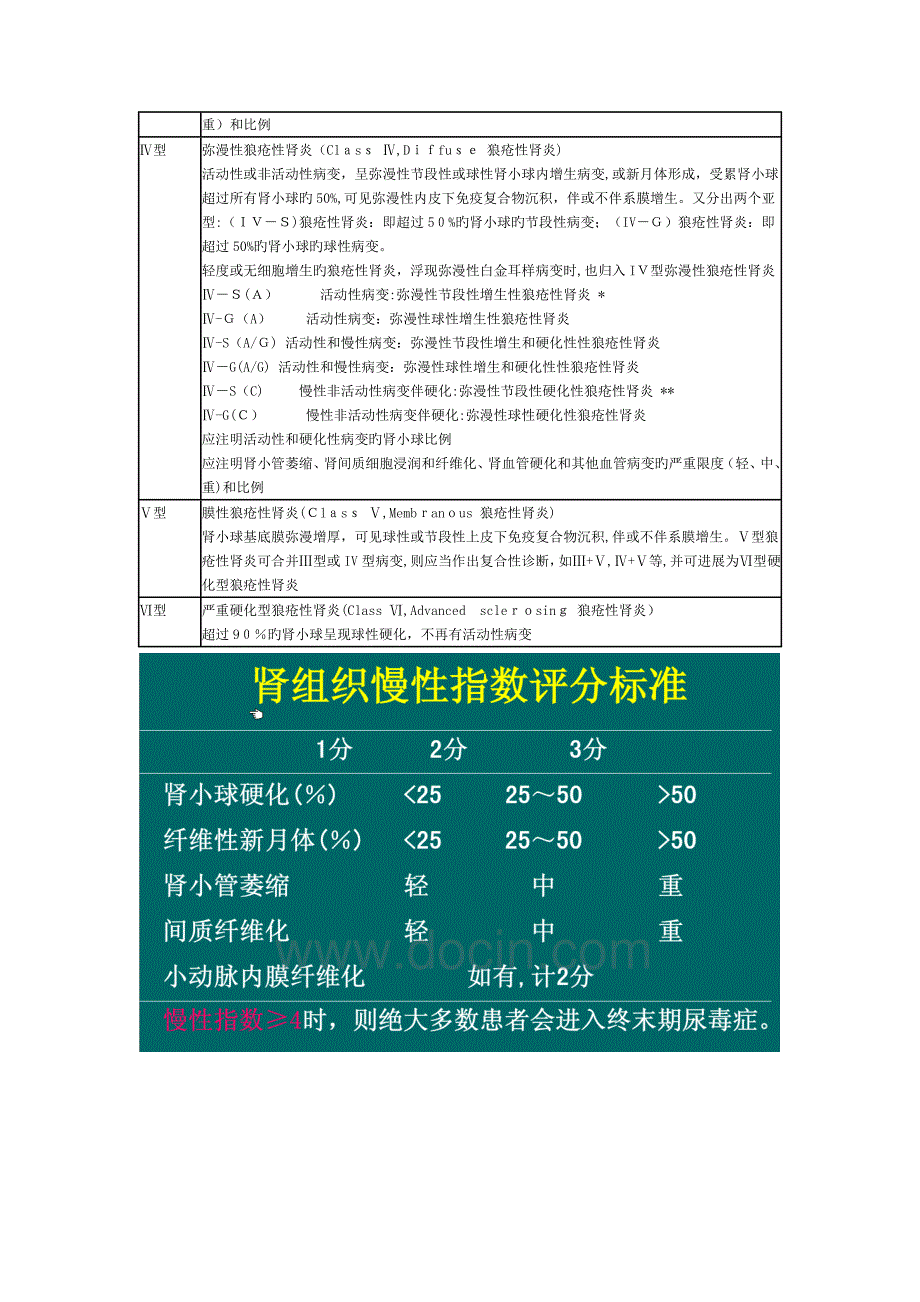 狼疮性肾炎的肾病理活动评分_第3页