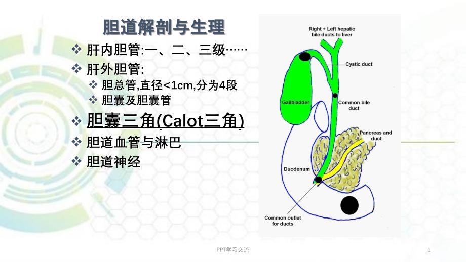 胆道疾病医院肝胆胰外科课件_第1页