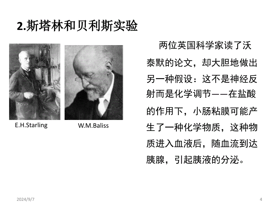 浙科版生物第二章-动物的生命活动调节-第三节-高等动物的内分泌系统与体液调节-人和高等动物的激素调节课件_第4页