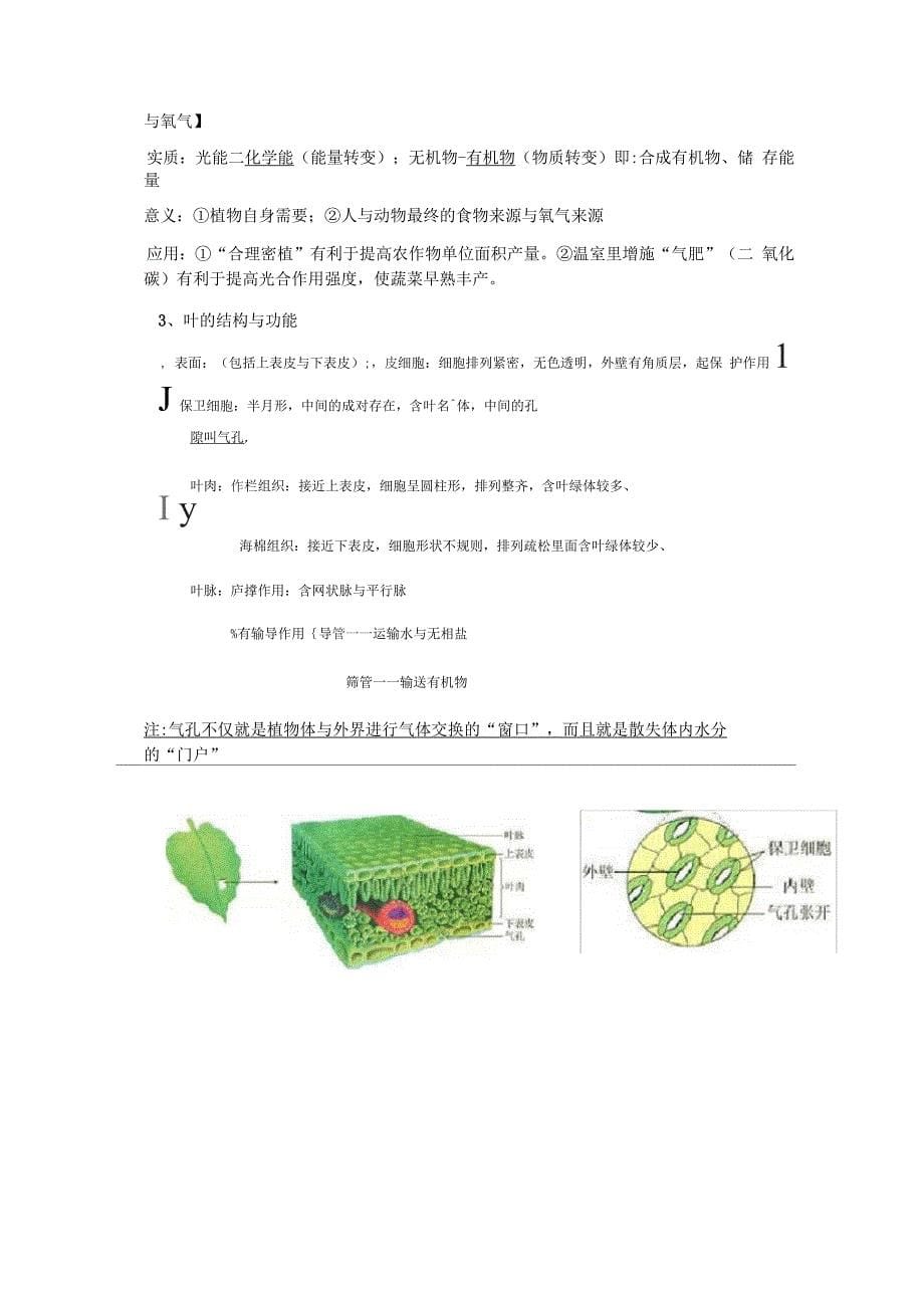 苏科版七年级上册生物知识点_第5页