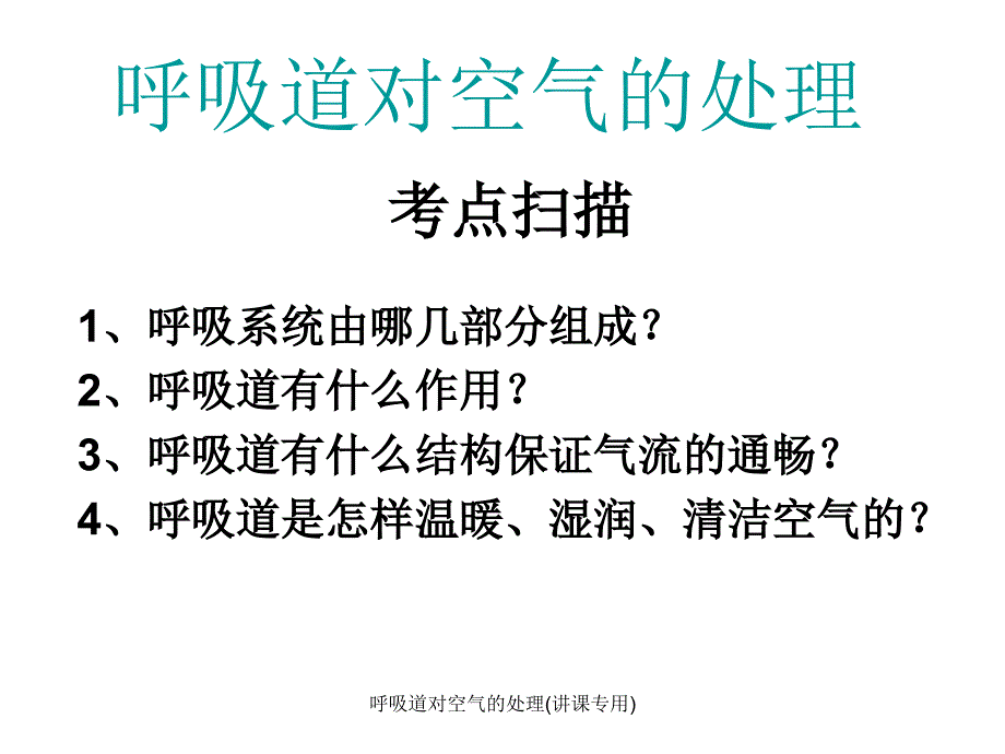 最新呼吸道对空气的处理讲课专用_第1页